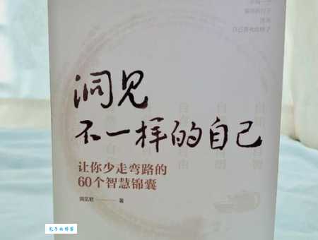 痞子瑞SEO有用吗?这些方法让你少走弯路!