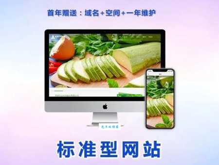 宁波做网站去哪里?专业网站建设公司推荐!