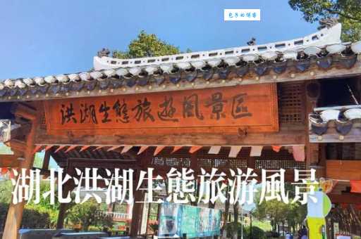 又名洪湖站长网有哪些功能?这些功能超实用!