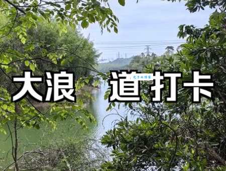 大浪网怎么用效果好？新手必看的使用攻略来啦！