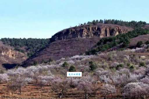 想了解凌源的最新动态?凌源网这个平台别错过!