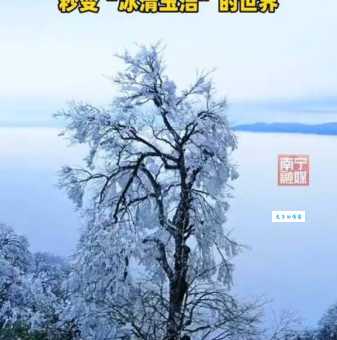 想知道冰清玉洁是什么意思？这篇文章告诉你！