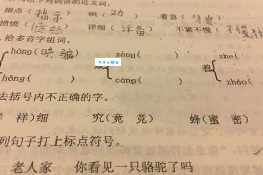 数的多音字组词有哪些?这篇文章给你讲清楚!