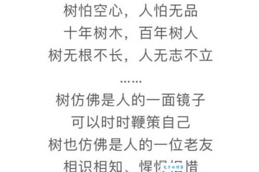 树无根不长人无志不立什么意思？答案简单明了！