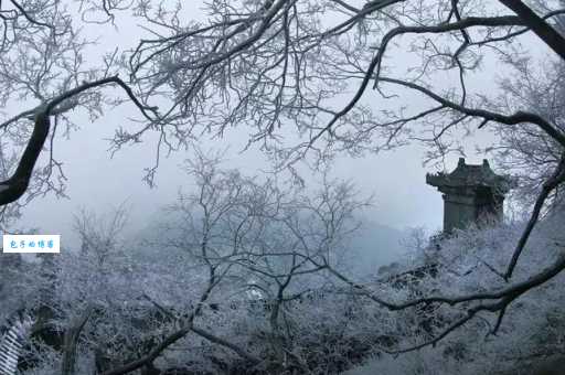 大雪纷飞的意思是什么？这篇文章让你豁然开朗！