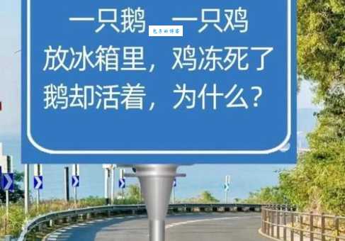 有言在先寸土不让打一字是哪个?揭秘正确答案!