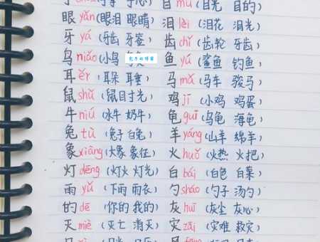 想知道扁组词100个?这篇文章帮你总结!