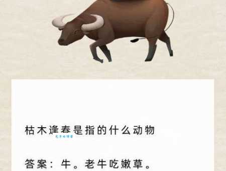 听其自便指什么生肖动物?谜底揭晓原来是它!