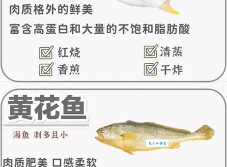 海鱼比淡水鱼更有营养?听听专家是怎么说的!