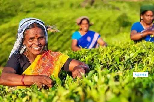 去佛得角共和国旅游贵吗?普通人也能消费得起!