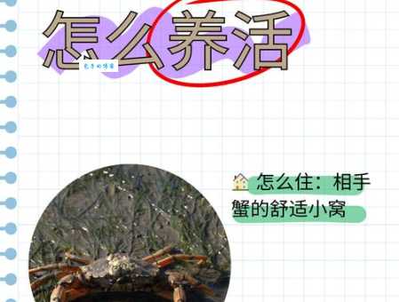 螃蟹女有啥特点?看完这几点你就懂螃蟹女!