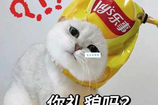 你礼貌吗是什么意思？这梗到底说的是啥？