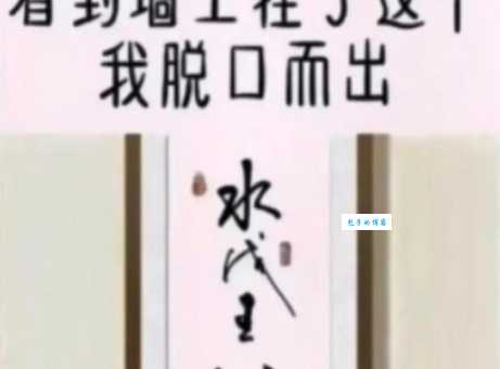 水浅王八多书法到底是什么，带您了解真相！