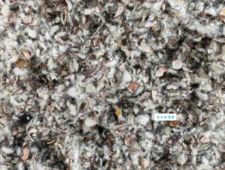 什么是棉籽壳？农村常见的棉籽壳有啥用处？