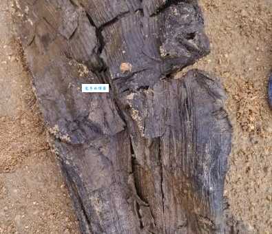 乌木有什么用?行内人来给你解答!