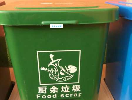 厨余垃圾有哪些物品?这些东西千万别扔错了!
