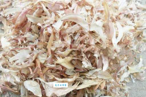 厨余垃圾有哪些物品?这些东西千万别扔错了!