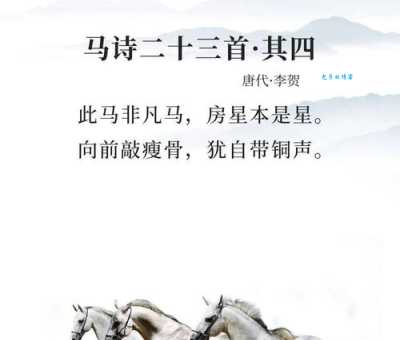 飞蛾扑火的下一句是什么意思？解读诗词深意！