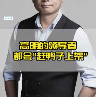 赶鸭子上架歇后语下一句是?这样用才对!