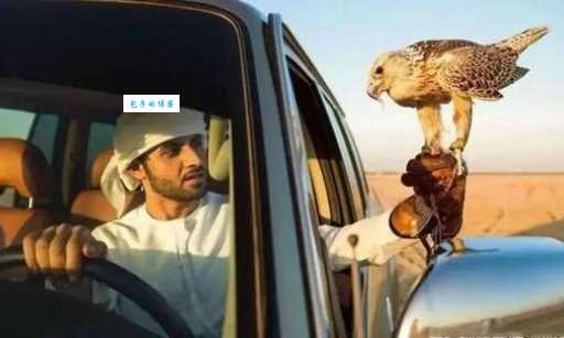 卡塔尔和迪拜哪个富裕?一篇文章讲明白!