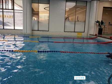 游泳如何踩水更有效？老教练分享独家秘诀！