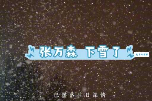 张万森下雪了是什么梗?火遍全网的青春暗恋!