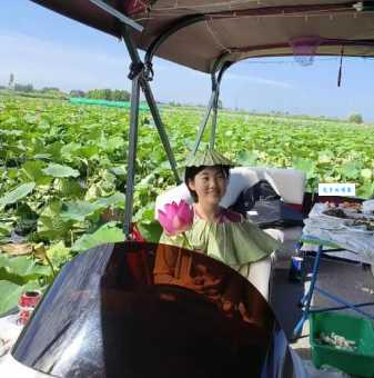 天津到白洋淀旅游攻略?详细行程规划看这里!