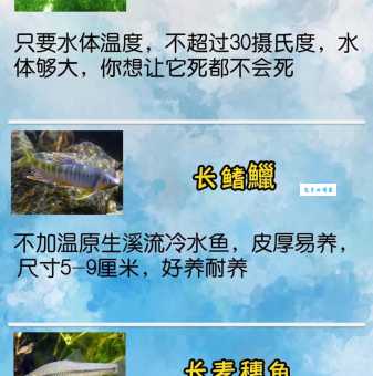 四个鱼念什么，你知道不？今天来给你科普一下！