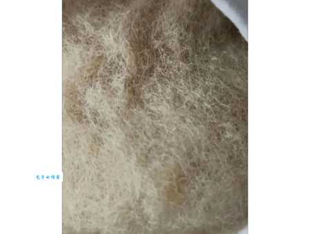 什么是黑心棉？购买棉被时这样挑选避免被坑！