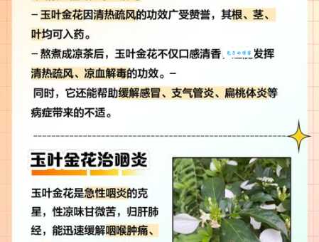 “繁花嫩叶”是什么意思?带你了解它的含义和用法