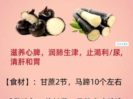 荸荠怎么读？bí qí发音详解及例句分享