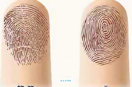 簸箕的含义是什么?传统簸箕与现代簸箕的对比