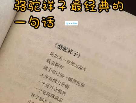 不知道翃怎么读?这里有最全面的翃字读音介绍
