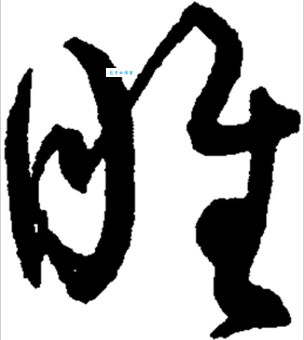 搞定睢字读音!suī和huī的用法及例句详解