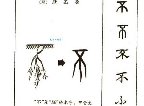 搞定木石柘读音，不再读错字，附详细解释