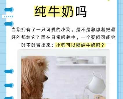 还在纠结鲇怎么读？一篇解决你的疑惑