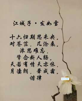 古代“青丝绾正”指什么?解析其文化内涵