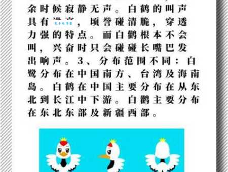 鹳怎么读？鹳的拼音、读音及详细解释