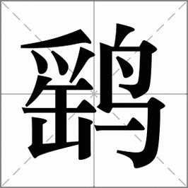 鹘鹰的正确读音是什么？快速掌握hú yīng读法