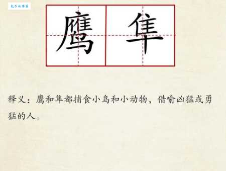 鹘鹰的正确读音是什么？快速掌握hú yīng读法