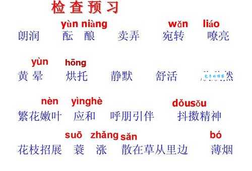 还在为梭梭树拼音发愁?suō suō shù正确读音指南