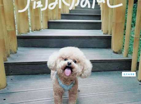 还在纠结邛崃怎么读？这篇教你快速搞定