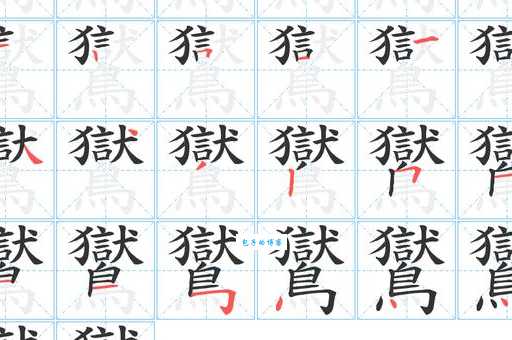 鹡鸰如何读？小白也能轻松学会的鹡鸰读音