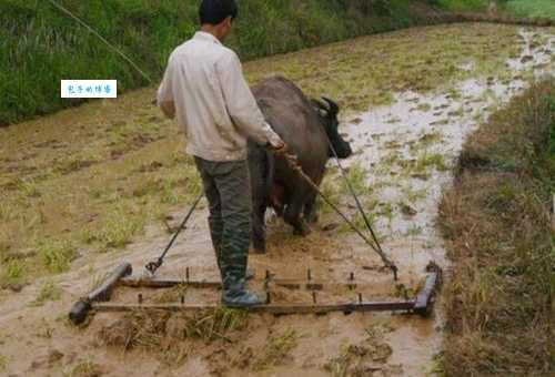 犁耙是什么意思及用法？古今农业用具大揭秘
