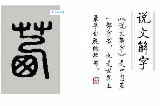 你知道草字头加西是什么字吗?带你了解茜字的全部信息