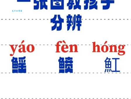 轻松学会读“蝠鲼” fù fèn？还是fú fèn？权威解答