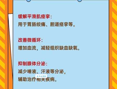 如何正确读出莨菪碱?山莨菪碱的药理作用是什么?