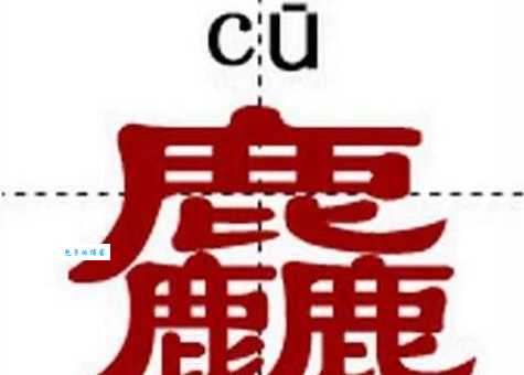 三个鹿组成的字怎么读？详解生僻字“麤”的读法和意思