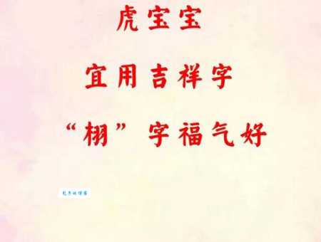 栩字究竟怎么读？带你了解栩字的读音、释义和用法