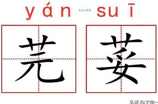 芫荽拼音及读音详解，彻底搞懂香菜学名读法